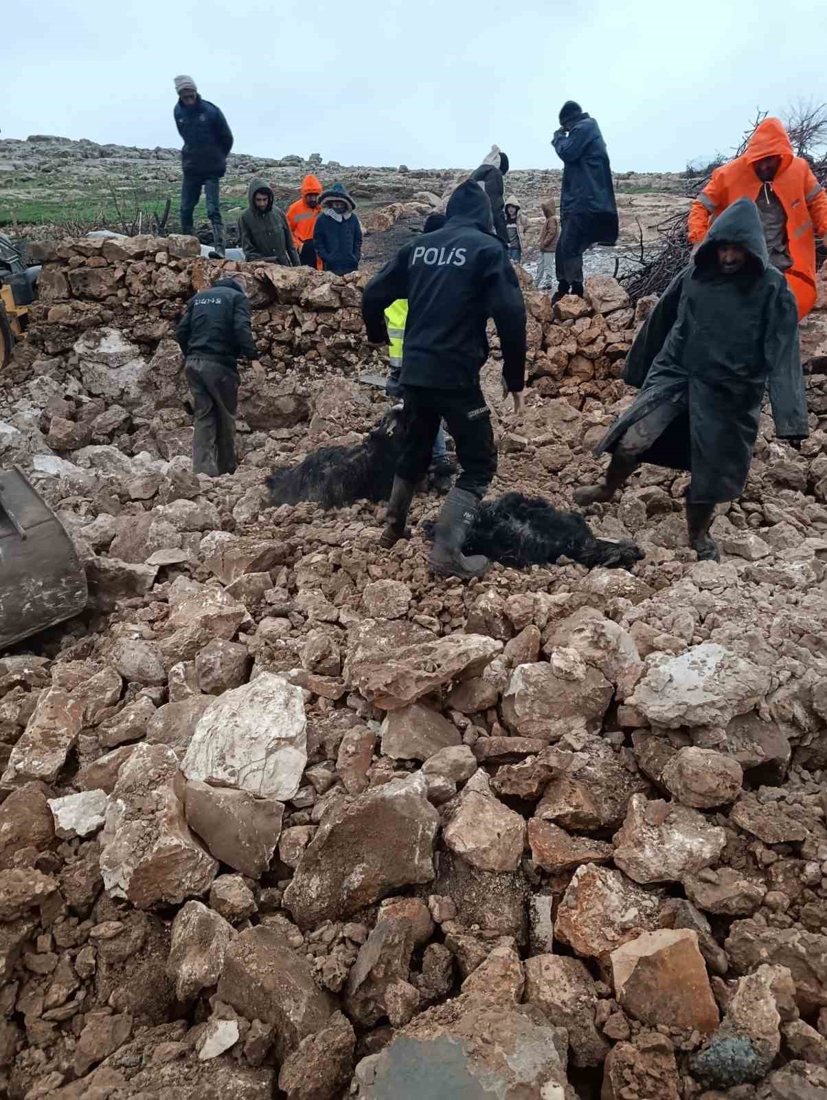 mardinde ahirin cokmesi sonucu 30 kucukbas telef oldu 0