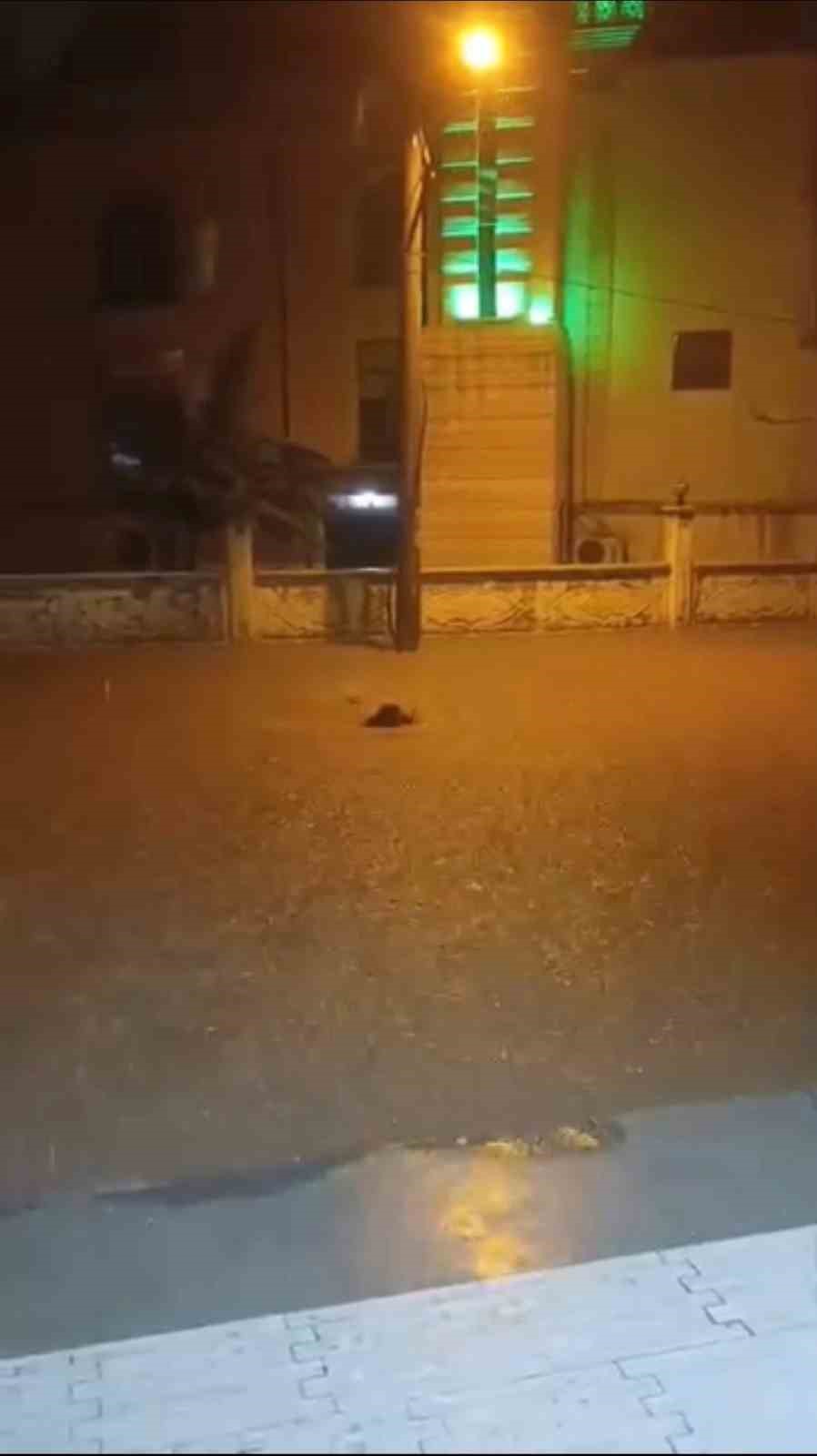 Mardin’de bazı ev ve işyerlerini su bastı 7 mardinde bazi ev ve isyerlerini su basti 3 m9GIRgFI