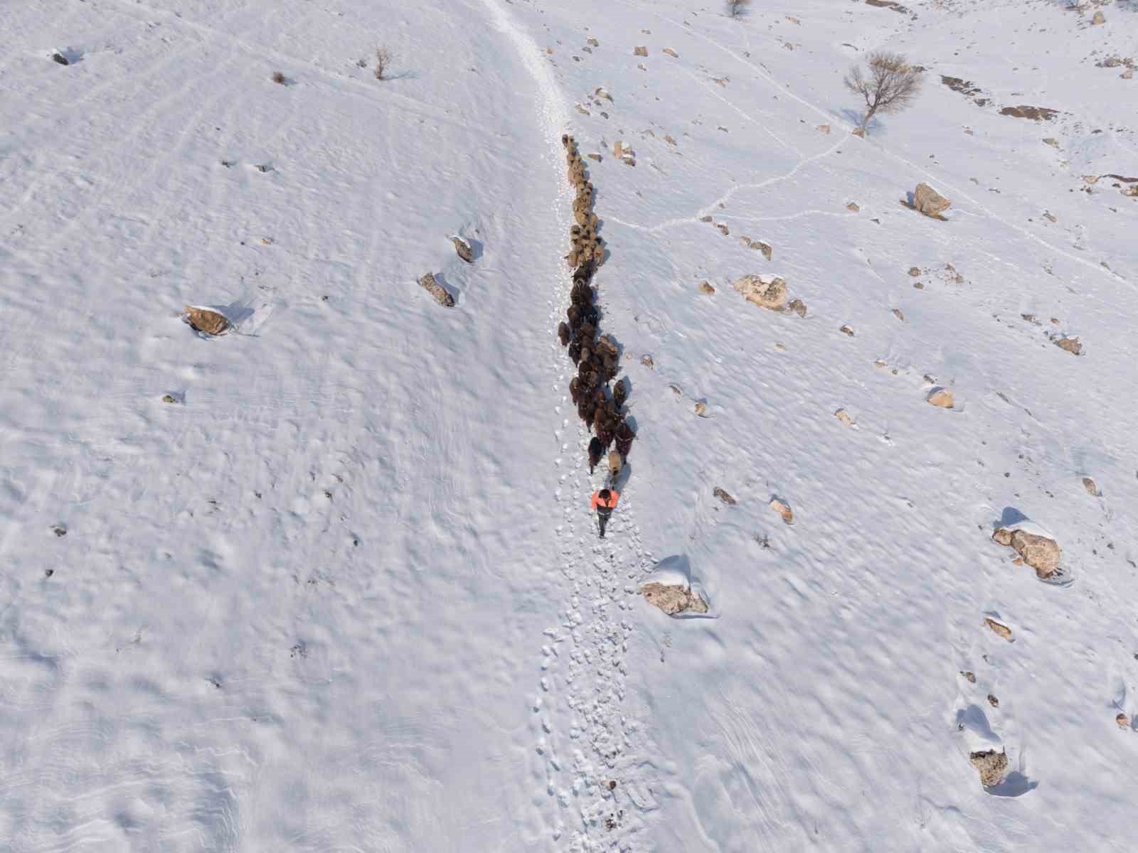 mardinde besicilerin zorlu kar mesaisi suruler beyaz ortude yol aliyor 4 gcUYPaTd