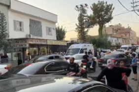 Bursa’da vinç üstünde "arı alarmı" 1 thumbnail