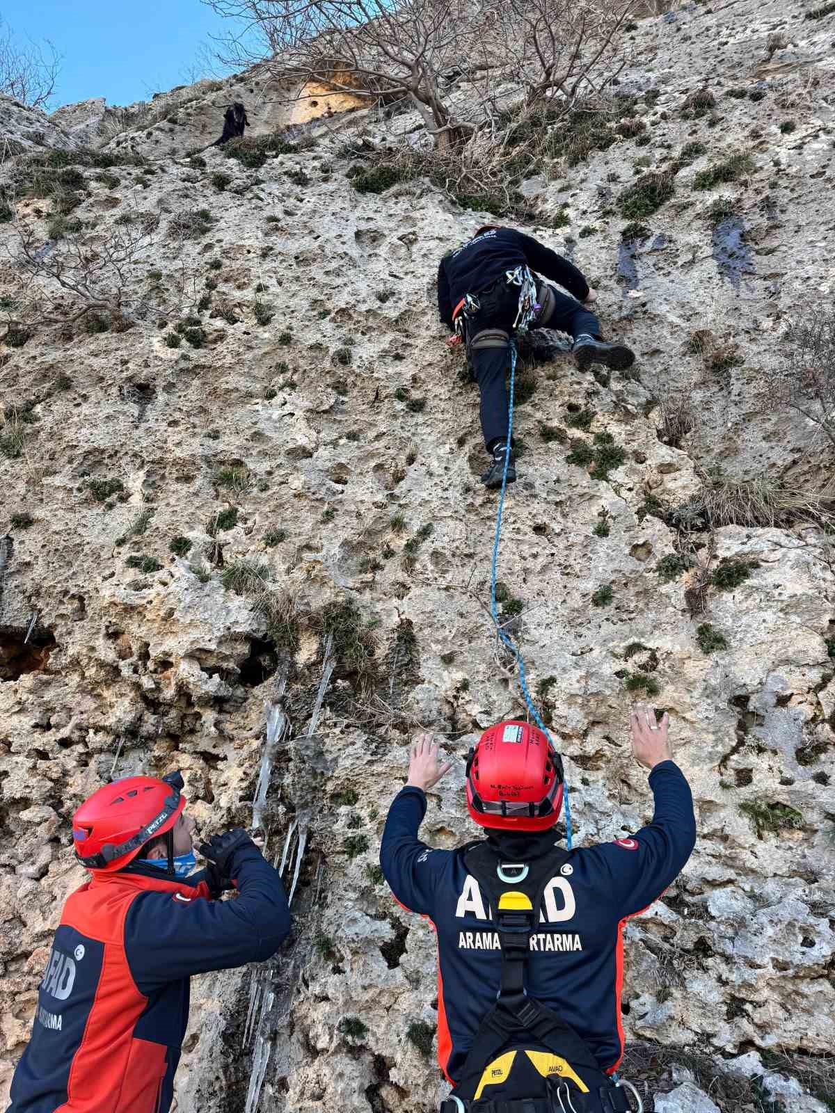 mardinde dagda mahsur kalan keciyi afad ekipleri kurtardi 2 hiLRD45M