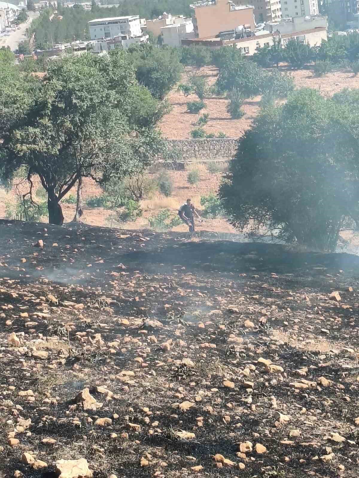 mardinde farkli noktalarda cikan yanginlara mudahale suruyor 2 mIQVS1NA