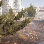 mardinde-farkli-noktalarda-cikan-yanginlara-mudahale-suruyor-W8VJtXy7.jpg