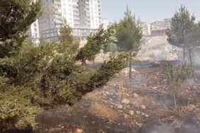 mardinde-farkli-noktalarda-cikan-yanginlara-mudahale-suruyor-W8VJtXy7.jpg