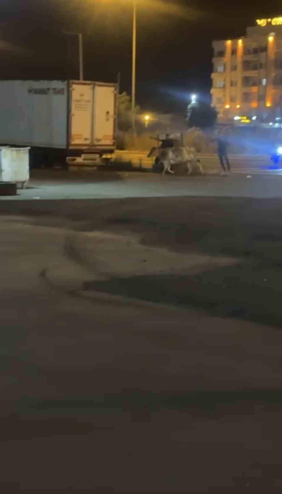 mardinde kacan kurbanlik inek ortaligi birbirine katti 1 hdOIcTjk