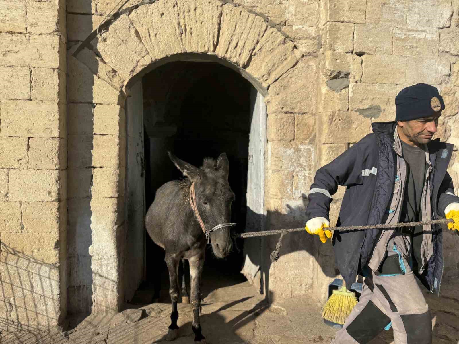 mardinde kadrolu esekleri emekli edecek proje hayata geciyor 1 pcL6wX1j