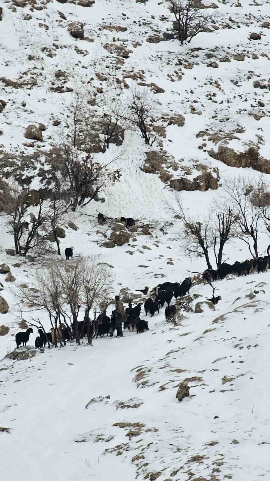 mardinde kar ve tipi altinda mahsur kalan coban kurtarildi 1 2DaatAC6