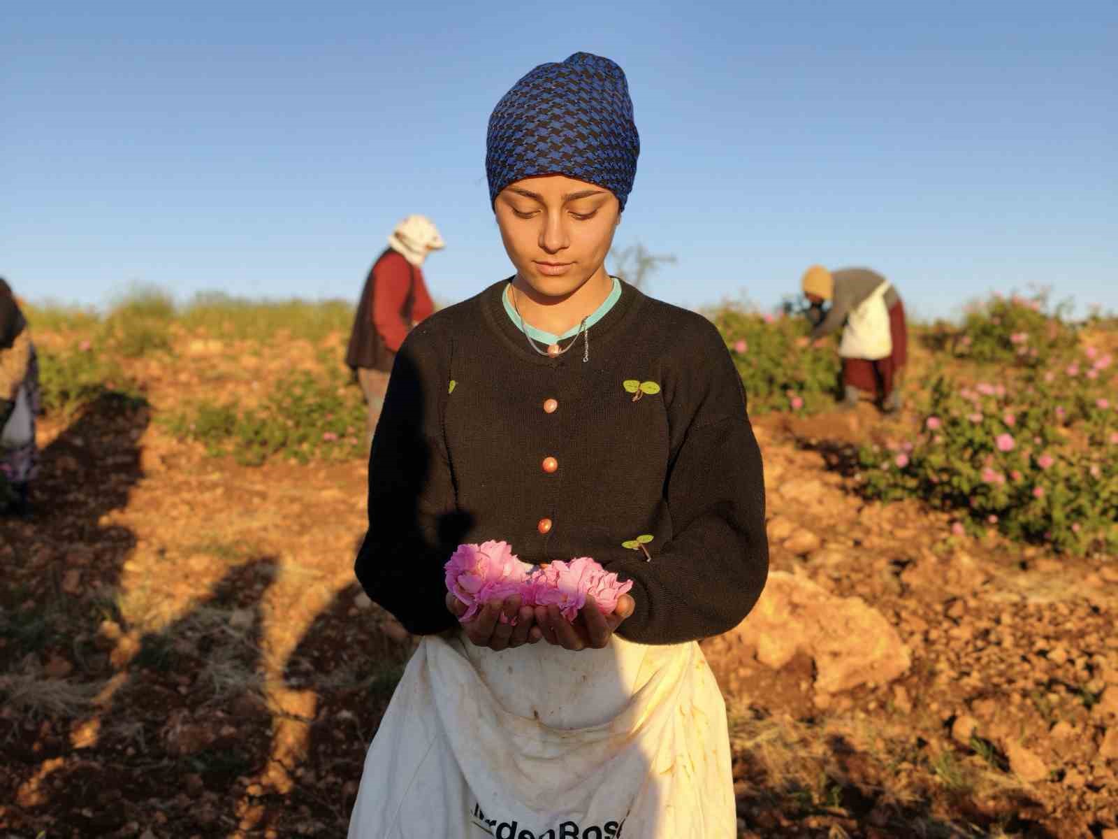mardinde kurdugu gul bahcesiyle bolge kadinlarina istihdam sagladi 1 TEyc6AZV