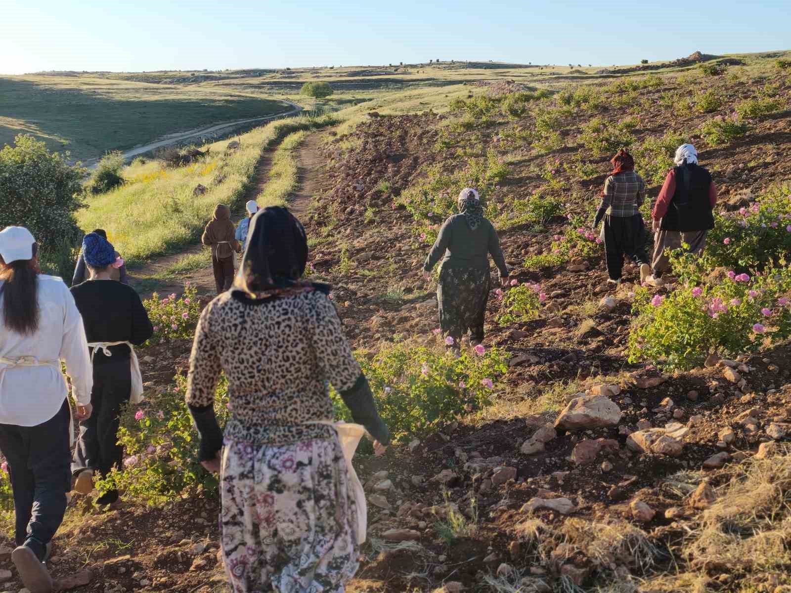 mardinde kurdugu gul bahcesiyle bolge kadinlarina istihdam sagladi 4 VGAebr8K