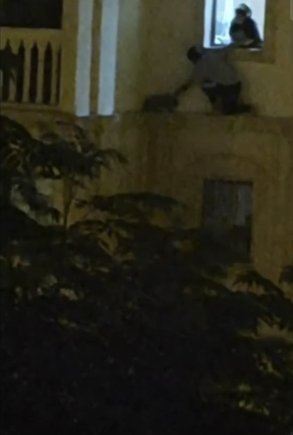 Mardin’de mahsur kalan kedi kurtarıldı 4 mardinde mahsur kalan kedi kurtarildi 0 mv8c9jhU