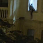 mardinde-mahsur-kalan-kedi-kurtarildi-pOHjw5bA.jpg