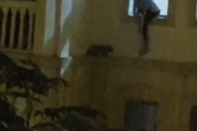 mardinde-mahsur-kalan-kedi-kurtarildi-pOHjw5bA.jpg