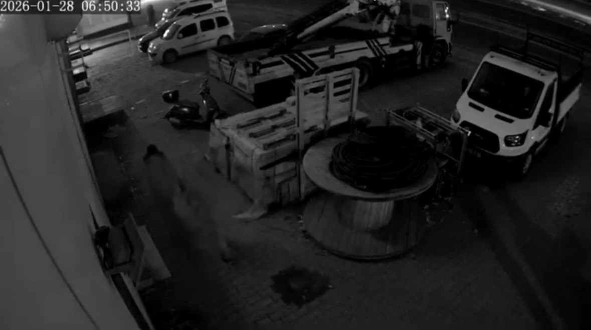 mardinde motosiklet hirsizligi kamerada 1 G8kVcmFh