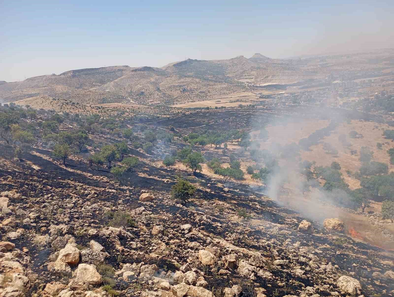 mardinde ormanlik alanda cikan yangina mudahale ediliyor 1 15rLyb9s