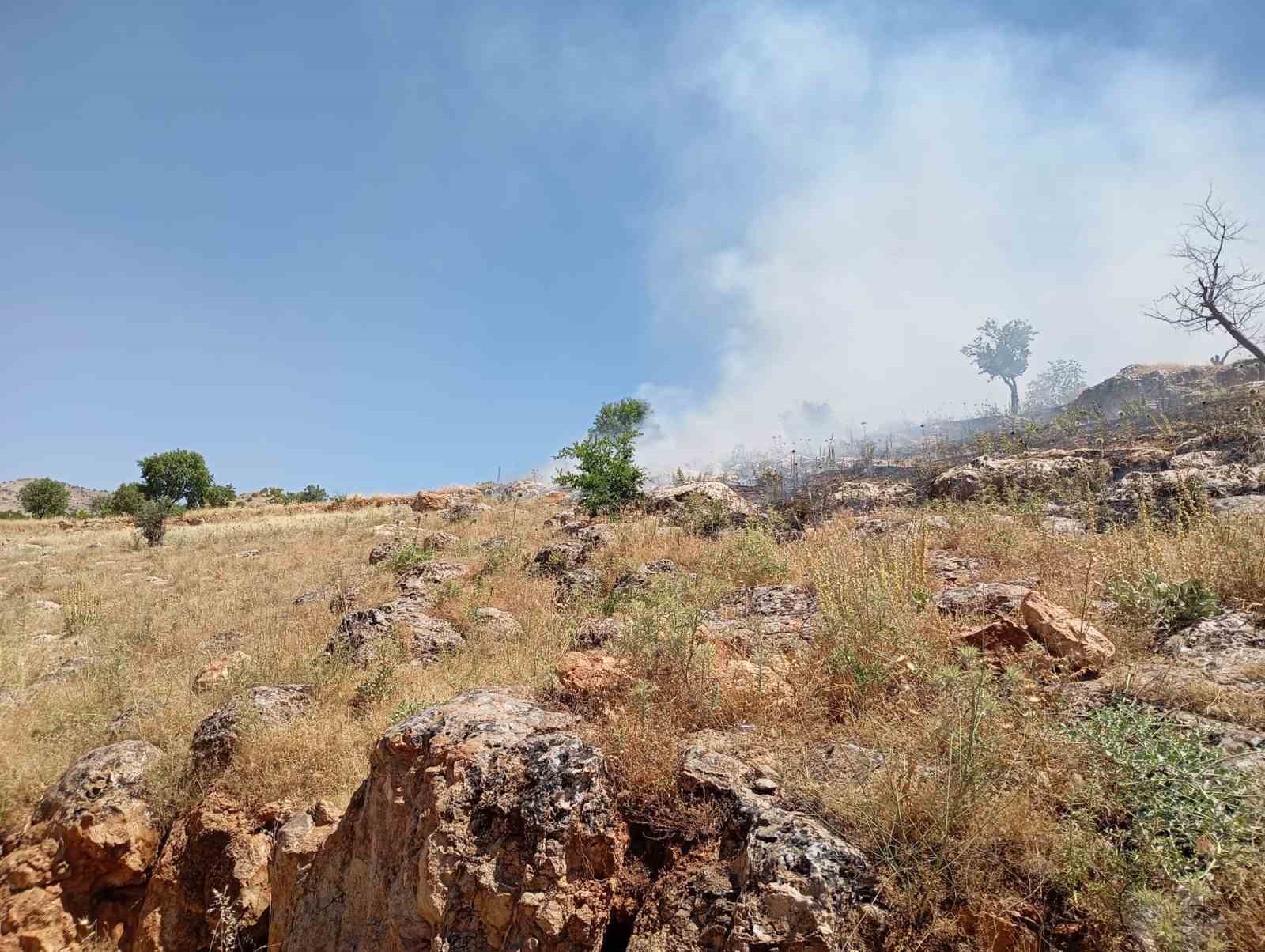 mardinde ormanlik alanda cikan yangina mudahale ediliyor 2 9tcBKR6g