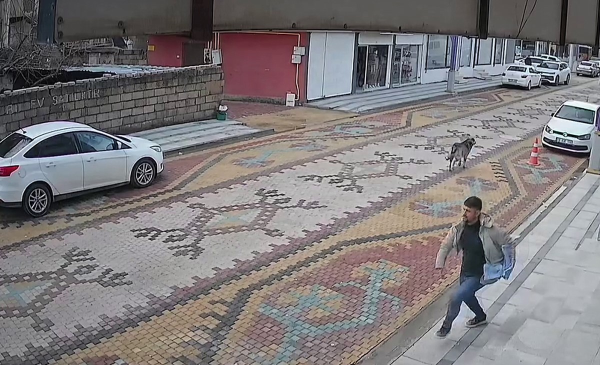 mardinde sokak kopeklerinin saldirdigi cocugu esnaf kurtardi 2 5MWfOrDH