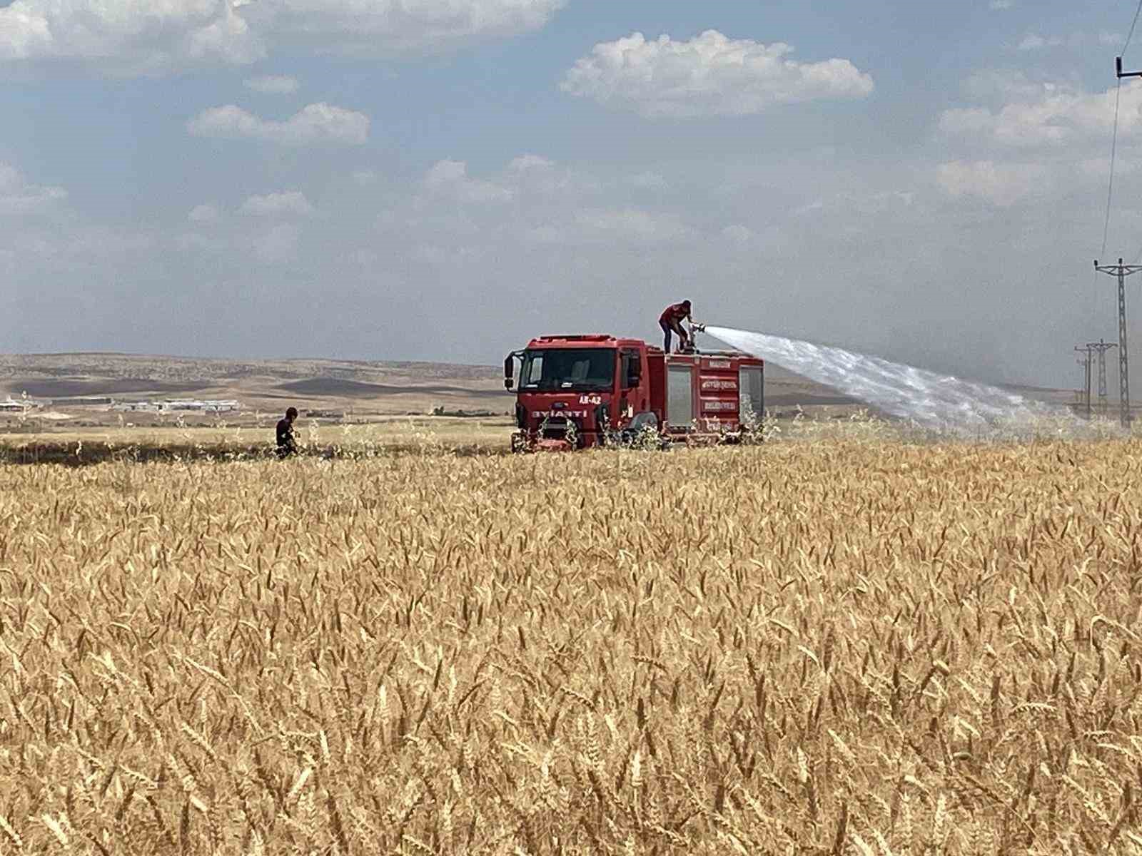 Mardin’de yaklaşık 300 dönüm ekili alan alevlere teslim oldu 4 mardinde yaklasik 300 donum ekili alan alevlere teslim oldu 0 H2bwXfFR