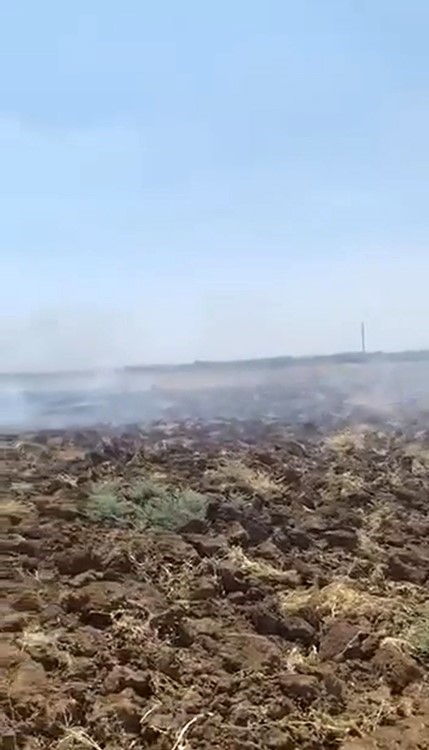 Mardin’deki anız yangını kontrol altına alındı 4 mardindeki aniz yangini kontrol altina alindi 0 TLNPTvDA
