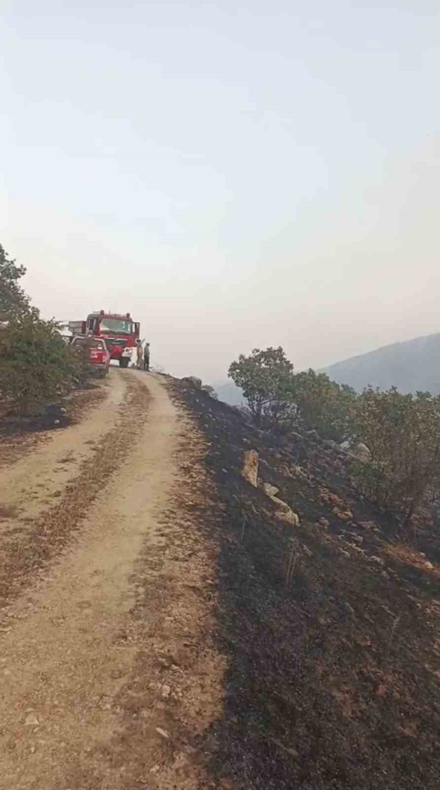 mardindeki ortu yanginlari kontrol altina alindi 2 A853FyuJ
