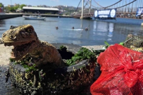 İstanbul için korkutan uyarı: "7’ye yakın büyüklükte bir depremi İstanbul maalesef yaşayacak" 2 thumbnail