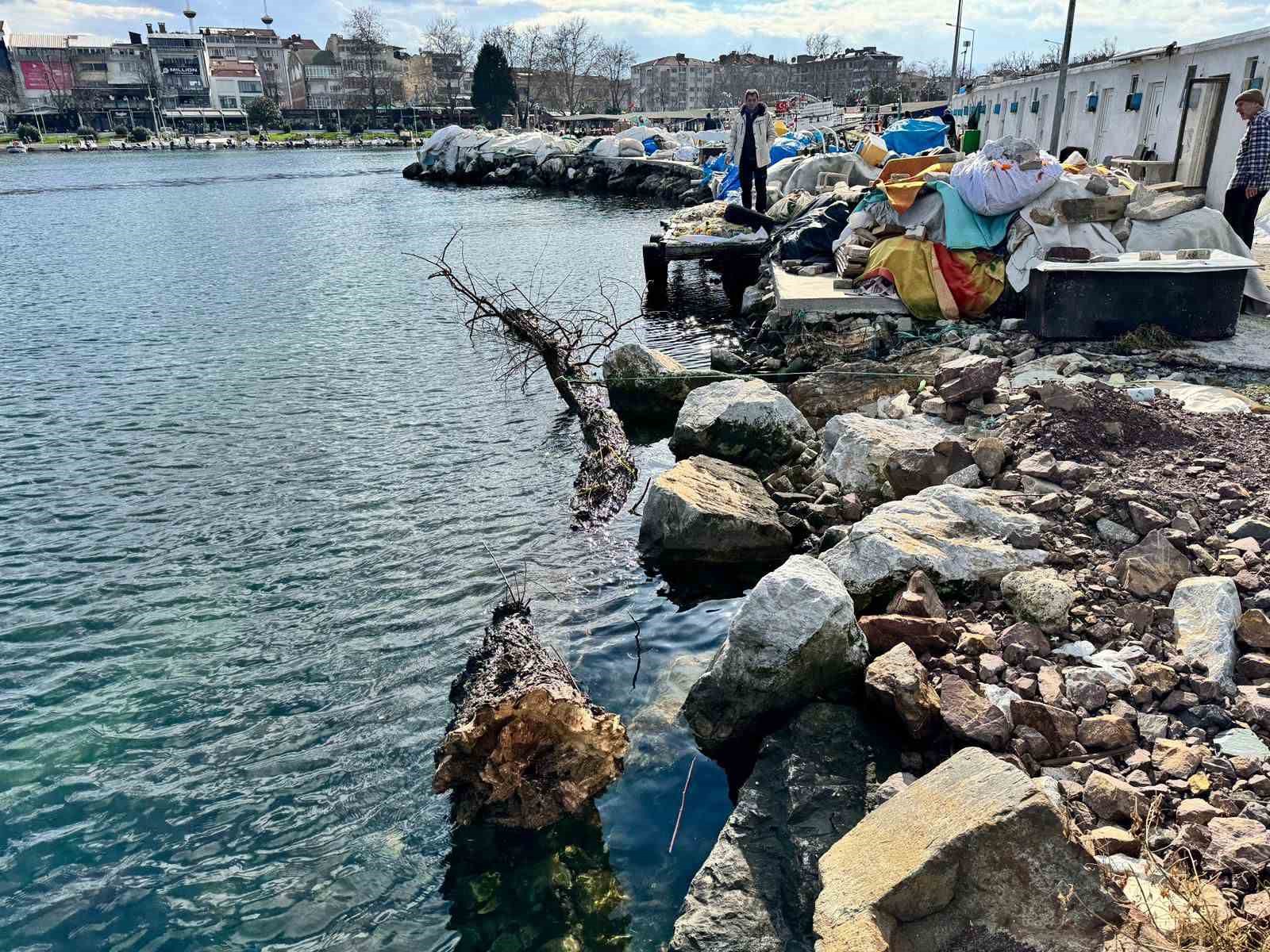 Marmara Denizi’nde feribot trafiği için tehlike oluşturan yüzen ağaç kıyıya çekildi 4 marmara denizinde feribot trafigi icin tehlike olusturan yuzen agac kiyiya cekildi 0 OK7Tkh5U