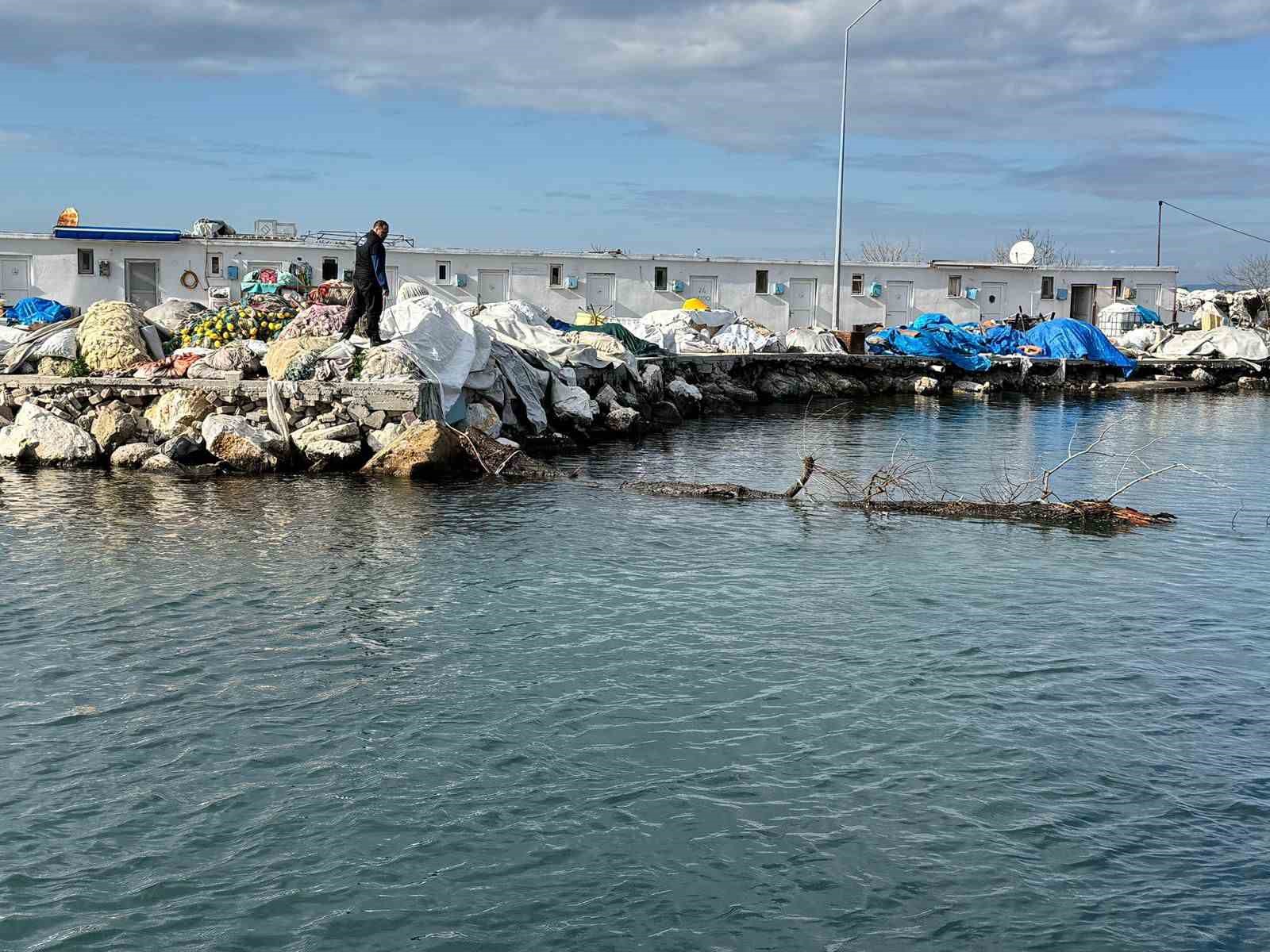 Marmara Denizi’nde feribot trafiği için tehlike oluşturan yüzen ağaç kıyıya çekildi 7 marmara denizinde feribot trafigi icin tehlike olusturan yuzen agac kiyiya cekildi 3 mvPatXYS