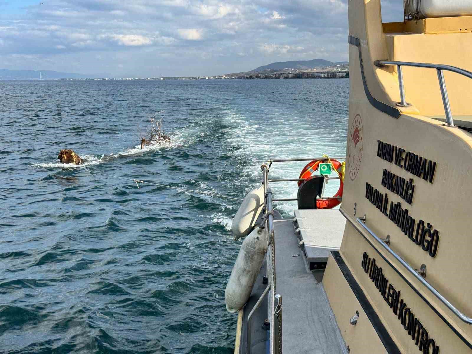 Marmara Denizi’nde feribot trafiği için tehlike oluşturan yüzen ağaç kıyıya çekildi 8 marmara denizinde feribot trafigi icin tehlike olusturan yuzen agac kiyiya cekildi 4 gPELvHWu