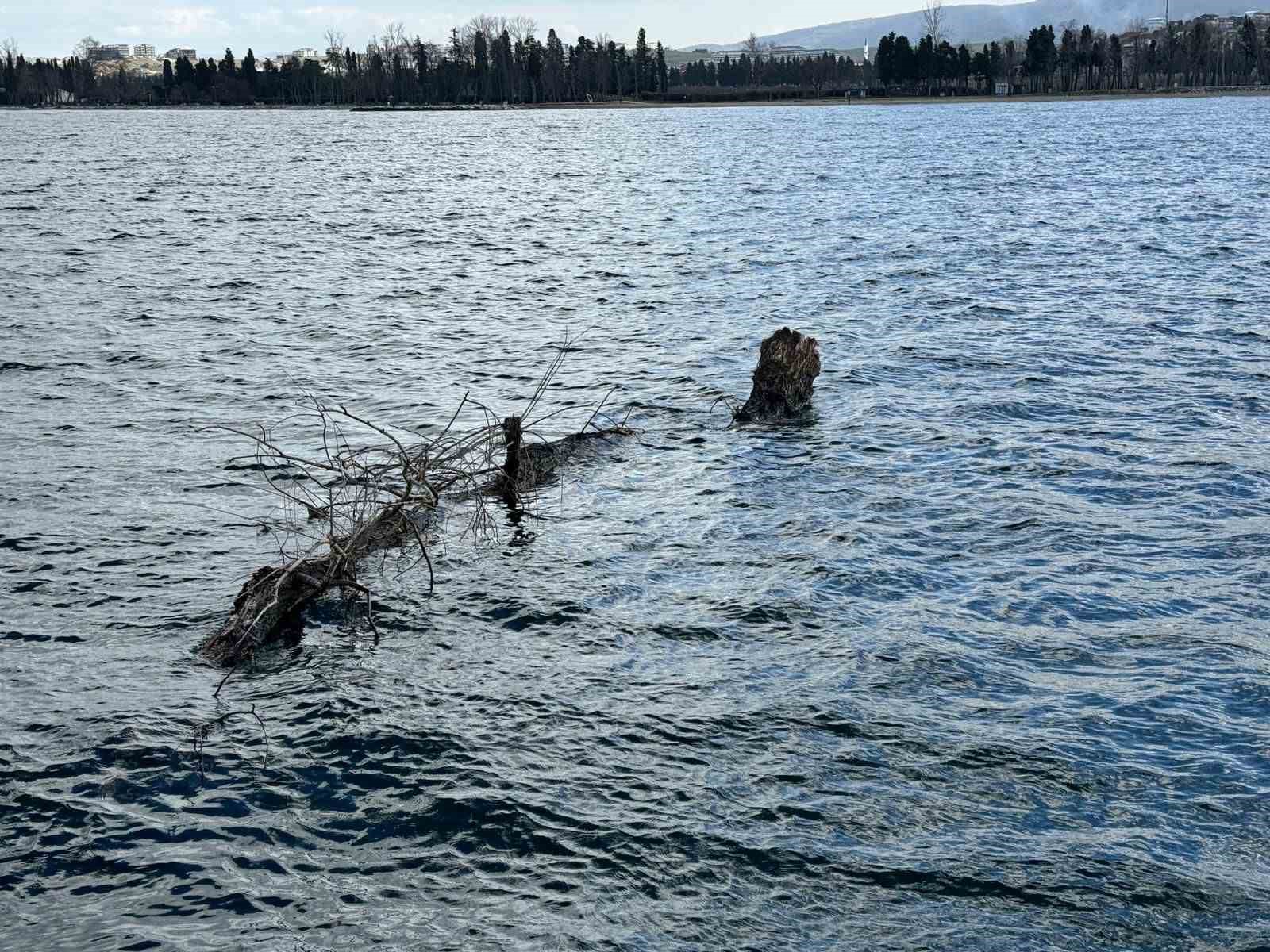 Marmara Denizi’nde feribot trafiği için tehlike oluşturan yüzen ağaç kıyıya çekildi 9 marmara denizinde feribot trafigi icin tehlike olusturan yuzen agac kiyiya cekildi 5 5VgGOSBe