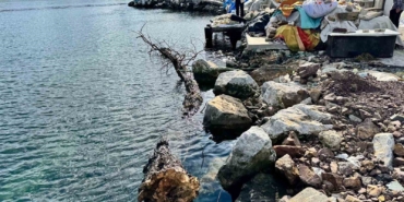 marmara-denizinde-feribot-trafigi-icin-tehlike-olusturan-yuzen-agac-kiyiya-cekildi-ETgSqVsg.jpg