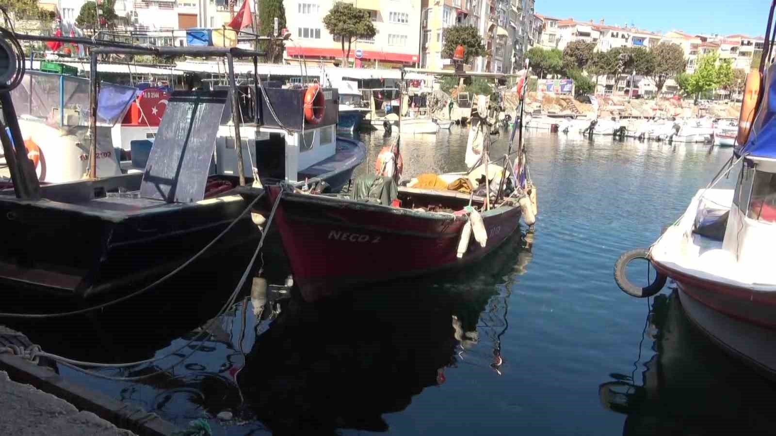 Marmara’nın emektar balıkçıları, müsilaj ve bilinçsiz avlanmadan şikayetçi 9 marmaranin emektar balikcilari musilaj ve bilincsiz avlanmadan sikayetci 5 kklNHfCG