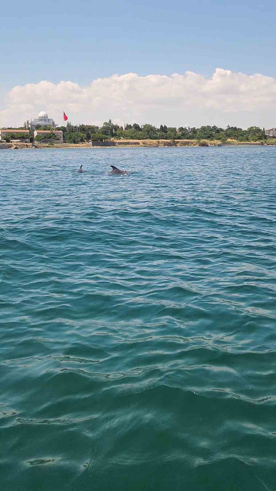 Marmara’nın sürpriz misafirleri: İki yunus teknenin yanında görüntülendi 5 marmaranin surpriz misafirleri iki yunus teknenin yaninda goruntulendi 1 z1LPNrKm