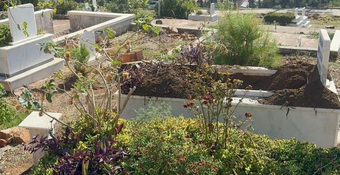 marmariste domuz istilasi suruyor yeni adres mezarliklar 2 3eRBLrcB