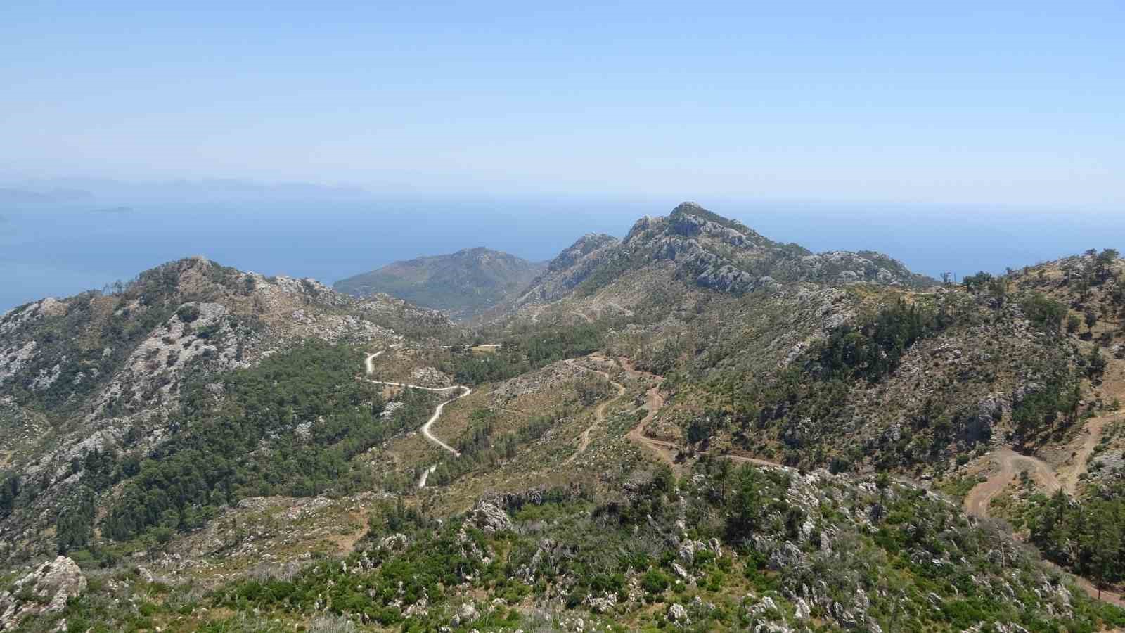 Marmaris’te ormanların görünmeyen kahramanları 7/24 nöbette 4 marmariste ormanlarin gorunmeyen kahramanlari 724 nobette 0 9uij5hIv