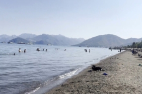 Akdeniz açıklarında balıkçı teknesini selamlayan yunuslar görüntülendi 1 thumbnail