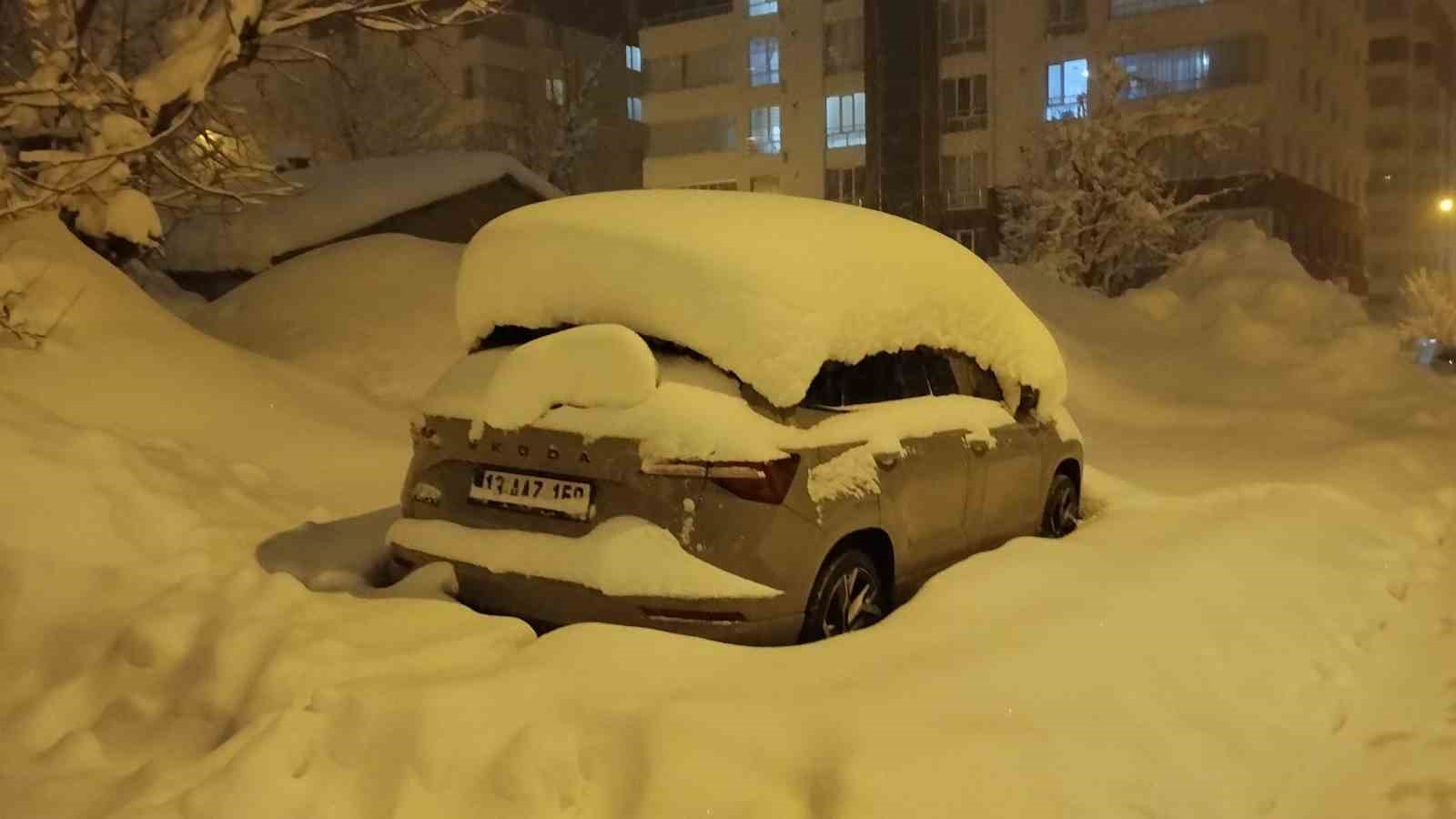 mart geldi ama bitliste kis bitmedi 8 OAjCSCDe