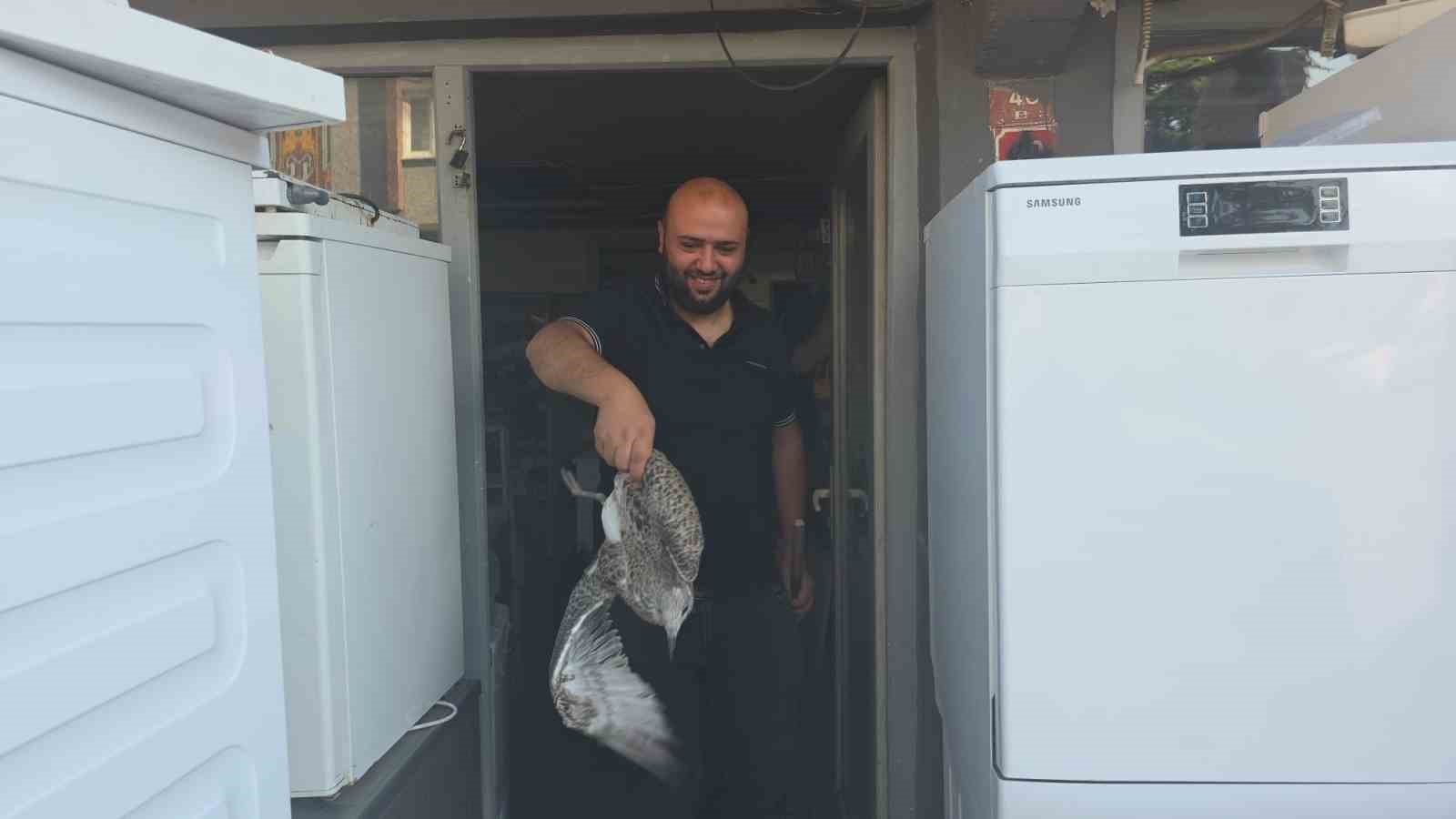 Martı yavrusu beyaz eşya tamircisini karıştırdı 4 marti yavrusu beyaz esya tamircisini karistirdi 0