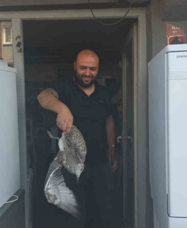 marti-yavrusu-beyaz-esya-tamircisini-karistirdi-1D8BFssy.jpg