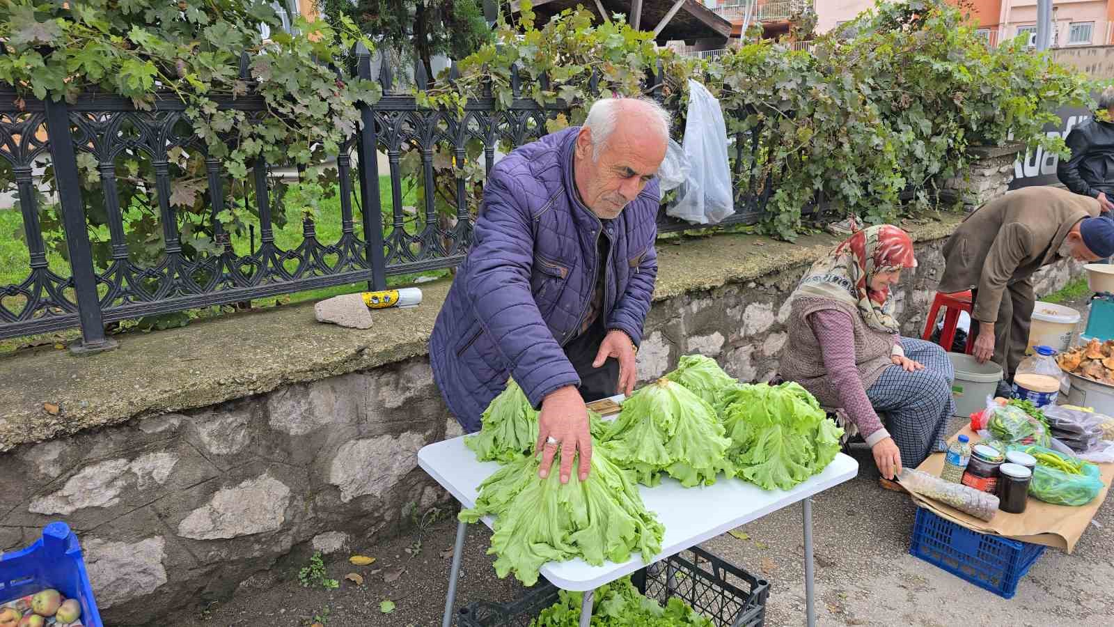 marul cadirinda sasirtan misafir yavru ayi iki gecedir marul ziyafeti cekiyor 3 NwjK2LHg