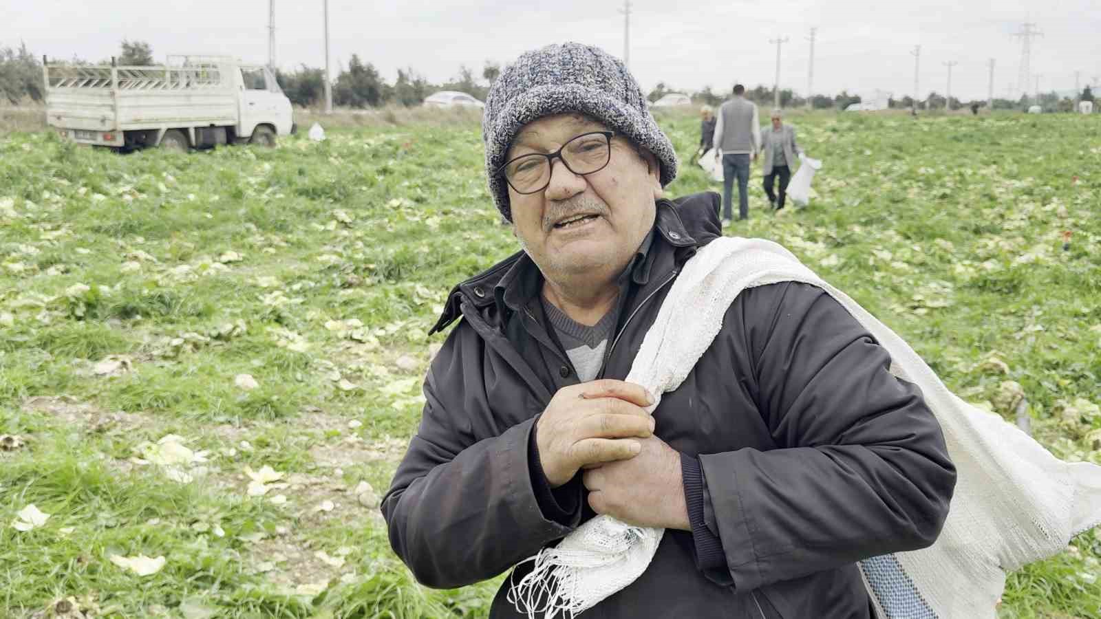 marul toplama maliyetini karsilamayinca bedava dagitti 2 lg3LJUM7