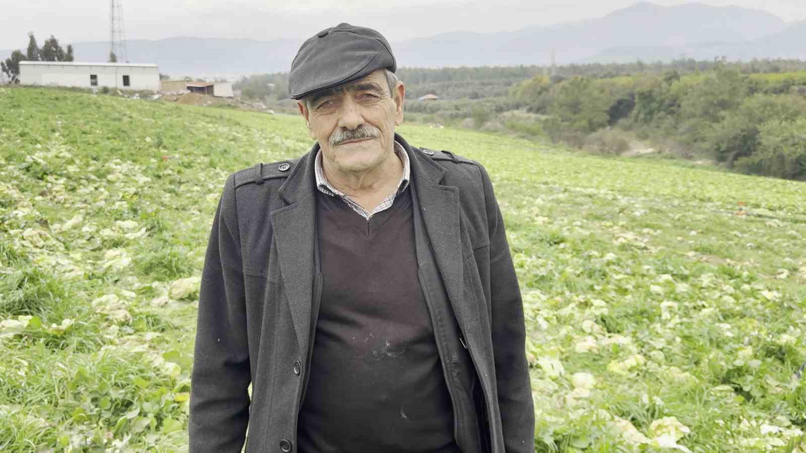 marul toplama maliyetini karsilamayinca bedava dagitti 3 sr9eWebz