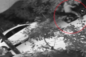 Köpek sürüsüne çarpmamak için manevra yapan tır yoldan çıktı 1 thumbnail