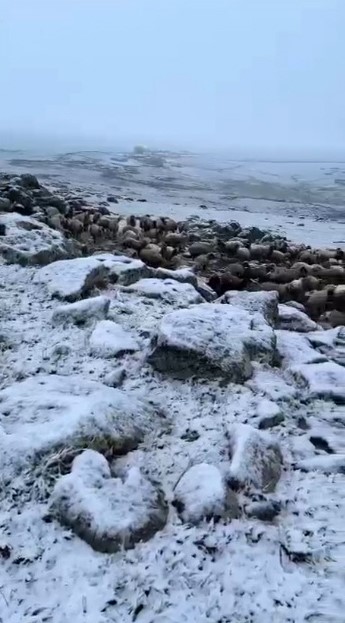 mayis sonunda karsa kis geri dondu eksi 5 derecede kar surprizi 0 zqlPXzi7