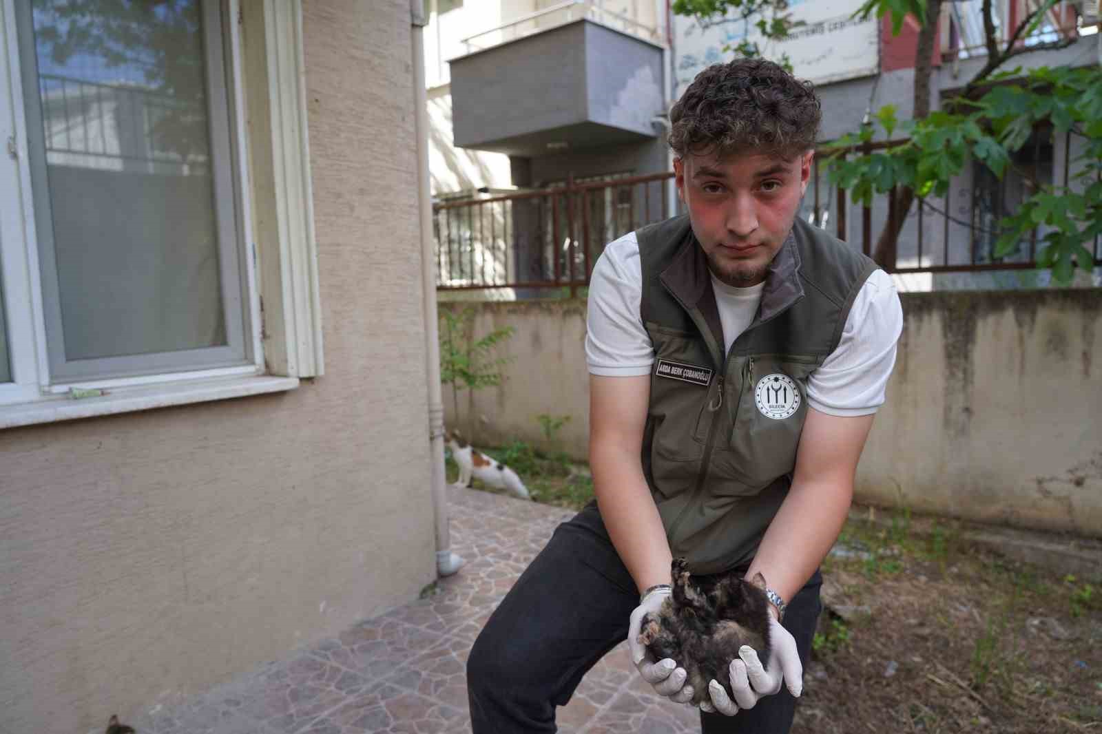 mazgalda sikisan kedi yavrulari kurtarildi 0