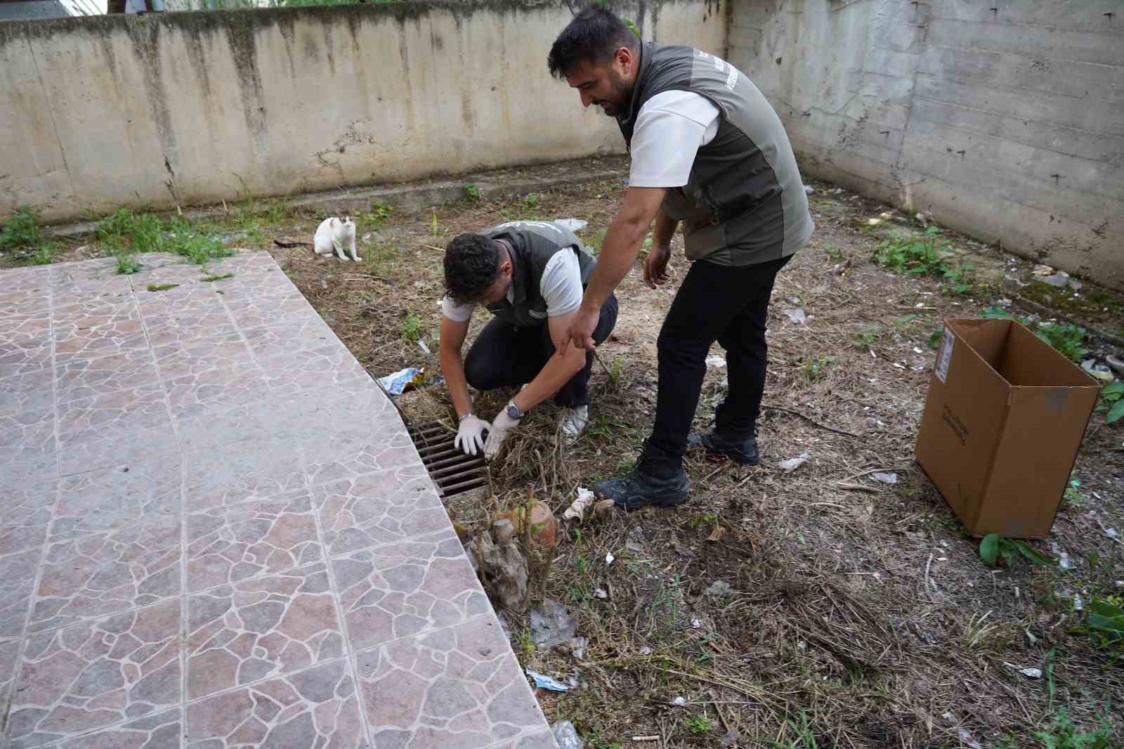 mazgalda sikisan kedi yavrulari kurtarildi 2 PGHZY5l3