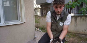 mazgalda-sikisan-kedi-yavrulari-kurtarildi-sDpXFdmx.jpg