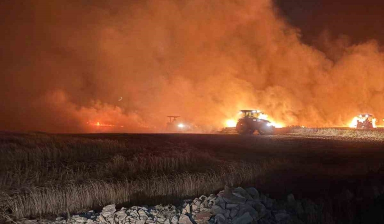 mazidaginda-dun-gece-cikan-yanginda-ekili-araziler-zarar-gordu-JRfNvmZ6.jpg