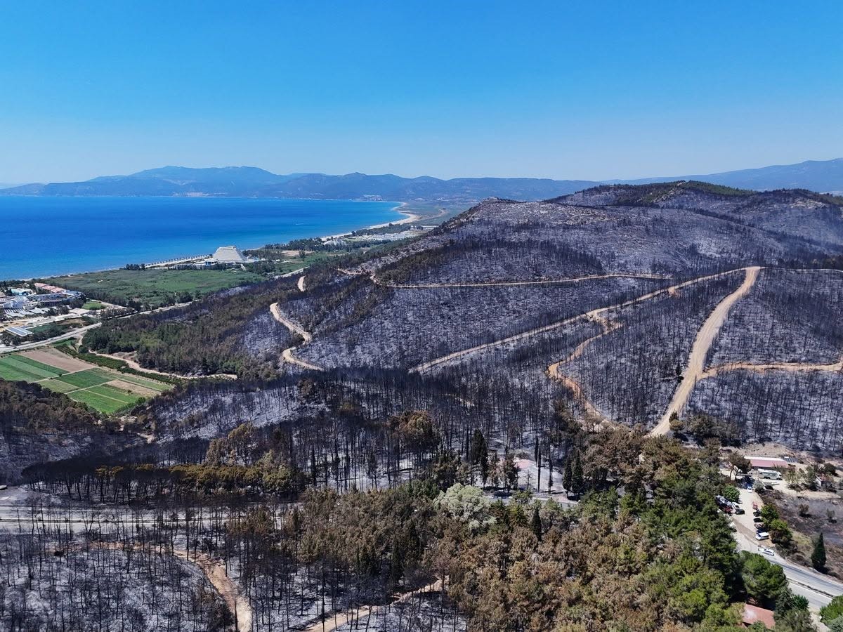 Meğer keçiler orman dostuymuş 5 meger keciler orman dostuymus 1 3eFIkPSY