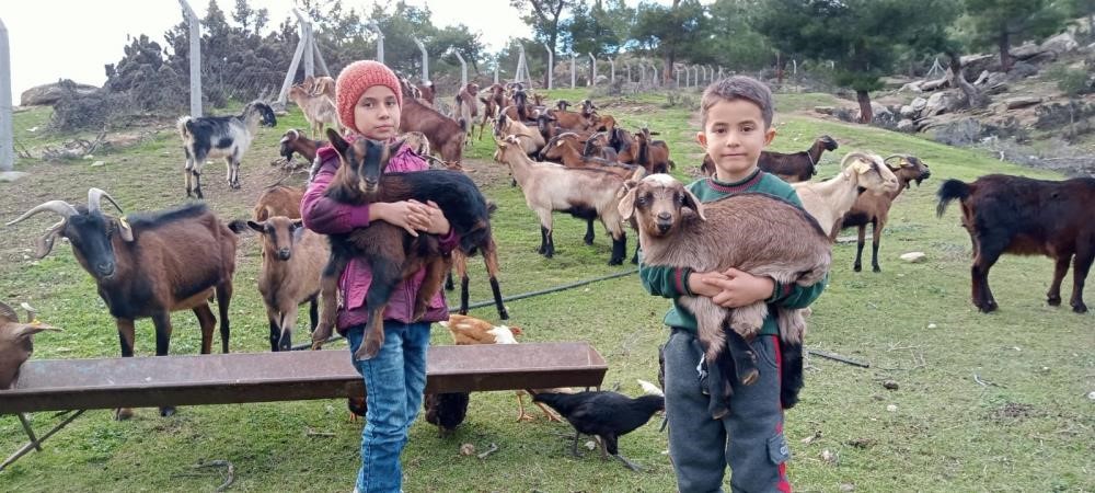 Meğer keçiler orman dostuymuş 11 meger keciler orman dostuymus 7 mKPhg2Jm