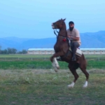 mehmet-fetihler-sultani-oyuncusu-mustafa-kaya-musta-film-atlarini-hazirladi-ppmGSrdc.jpg