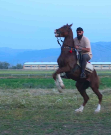 mehmet-fetihler-sultani-oyuncusu-mustafa-kaya-musta-film-atlarini-hazirladi-ppmGSrdc.jpg